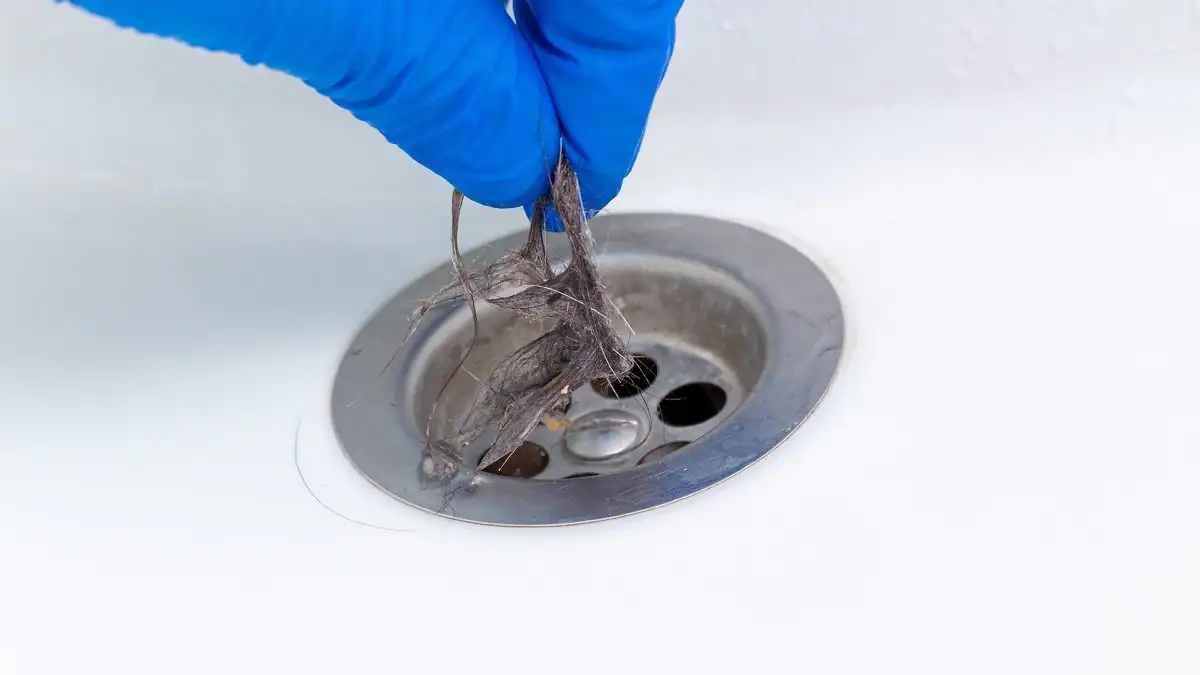Drain-Clogged-Due-To-Hairs